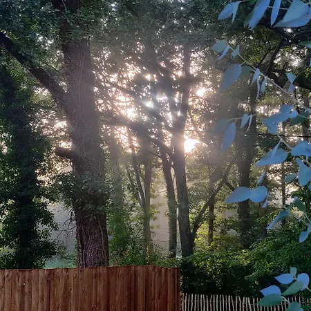 Guest house Maison Mandavi, D'hotes Dans L'entre Deux Mers 3*