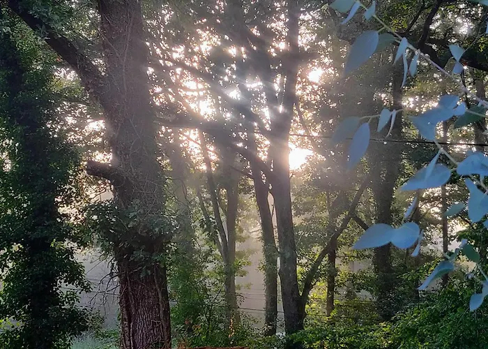 Vendégház Maison Mandavi, D'hotes Dans L'entre Deux Mers 3*
